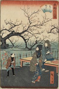 1859-1862年の亀戸の梅